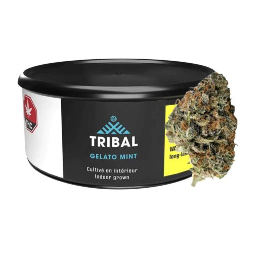 Tribal | Gelato Mint | Dry