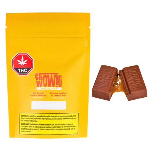 Chowie Wowie | 1:1 Milk Chocolate Square