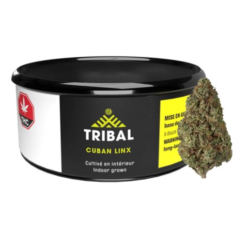 Tribal | Cuban Linx | Dry